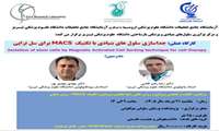 کارگاه MACS